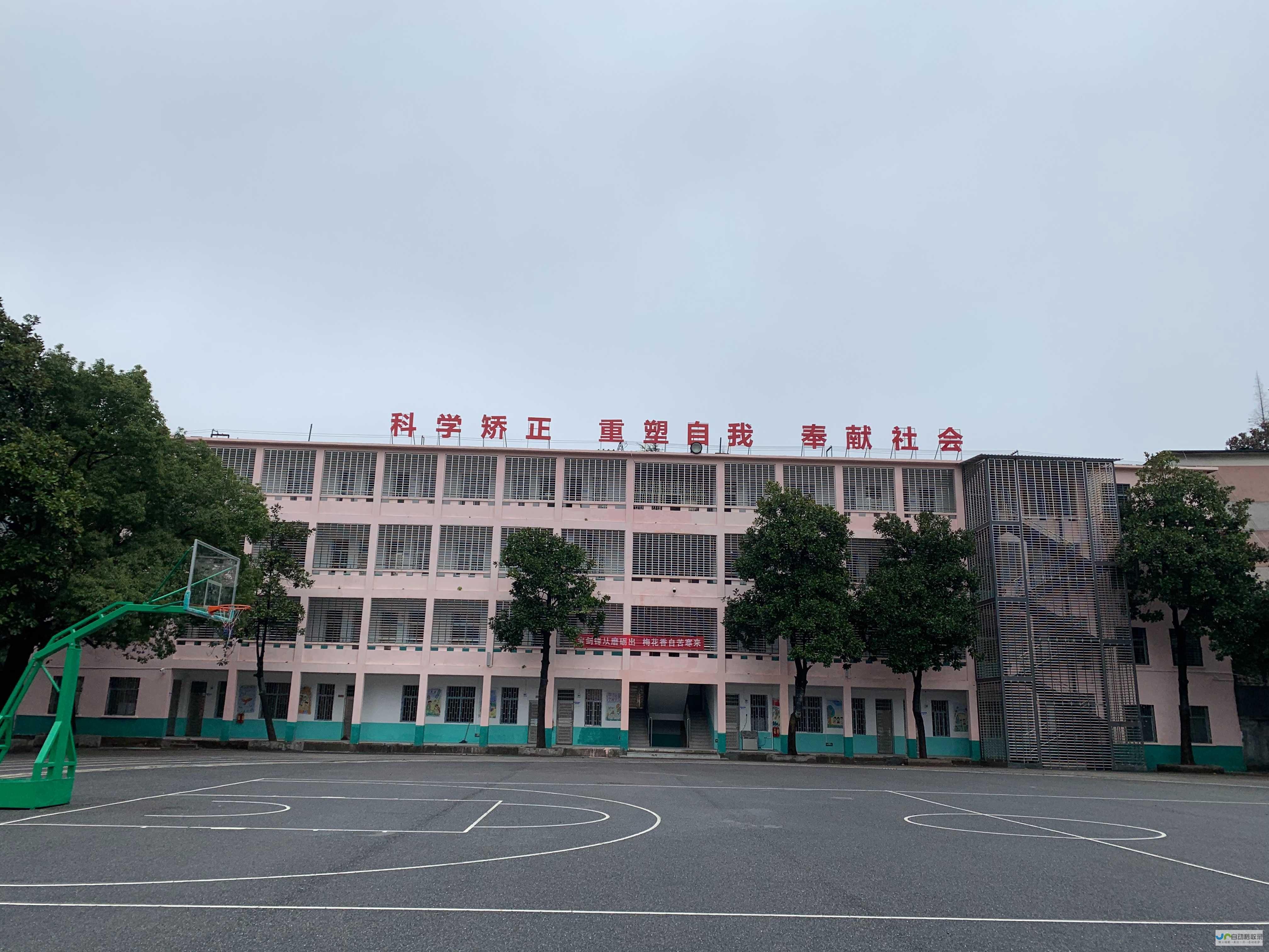 郴州专业网站建设服务：从设计到推广，全方位支持您的企业数字化转型
