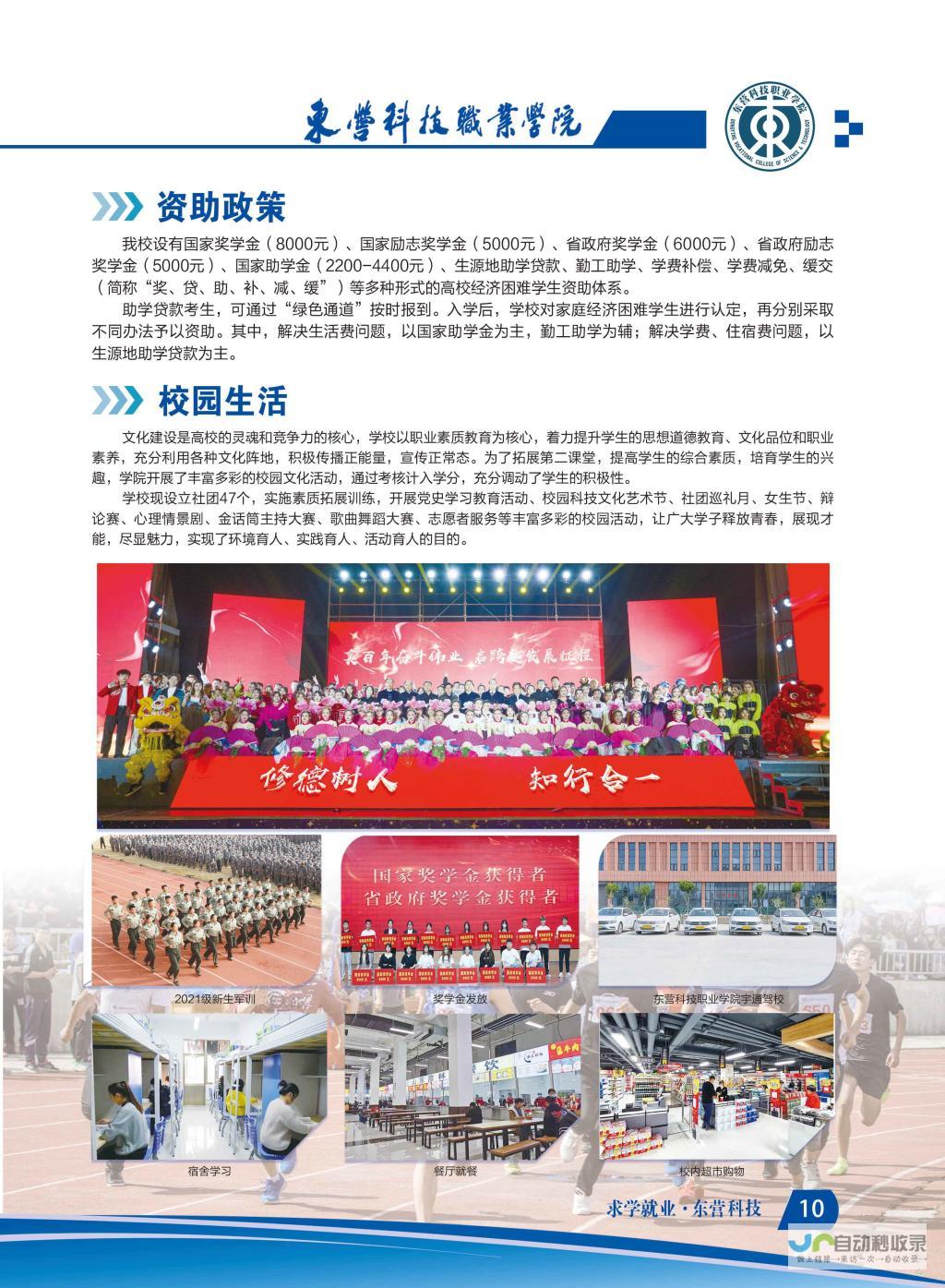 东营专业网站设计服务：从视觉到功能，满足您全方位需求
