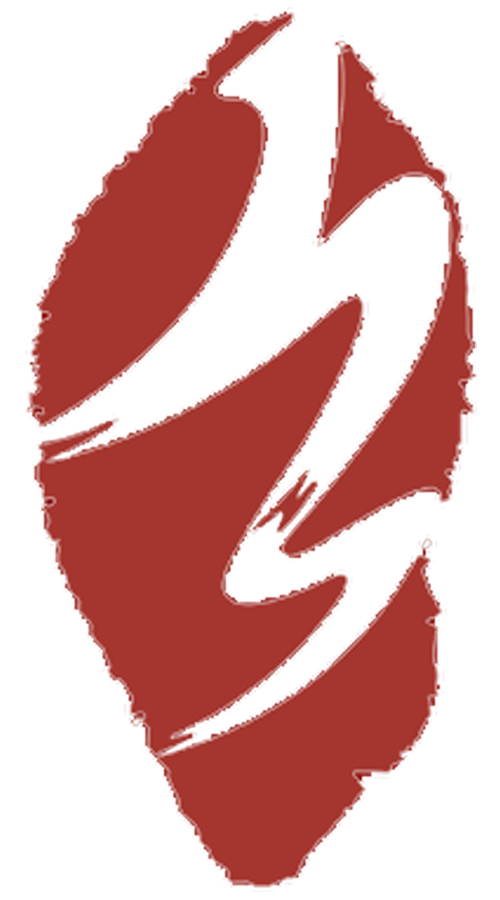 首页